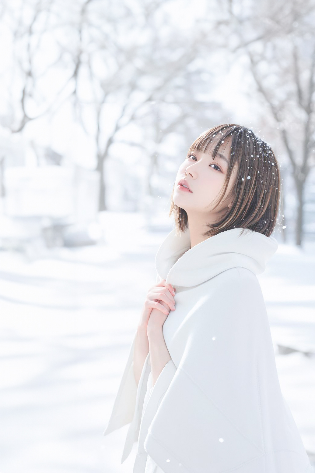 雪の妖精/snow fairy